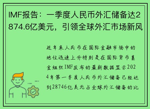 IMF报告：一季度人民币外汇储备达2874.6亿美元，引领全球外汇市场新风向