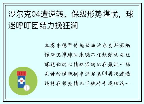 沙尔克04遭逆转，保级形势堪忧，球迷呼吁团结力挽狂澜